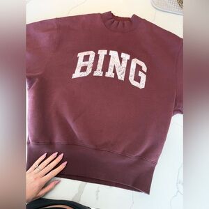 Anine Bing maroon sweatshirt